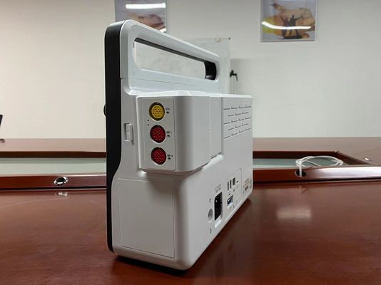 Instrumentos modulares de vigilancia del paciente multilingües para recién nacidos
