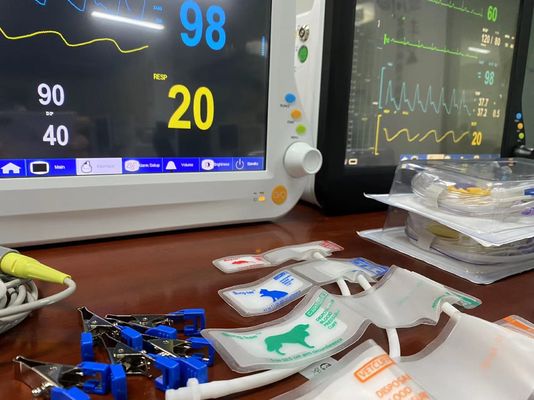 1024X768 Monitor LCD Veterinario de Parámetros Múltiples, Dispositivos de Monitoreo de Signos Vitales con 15 pulgadas